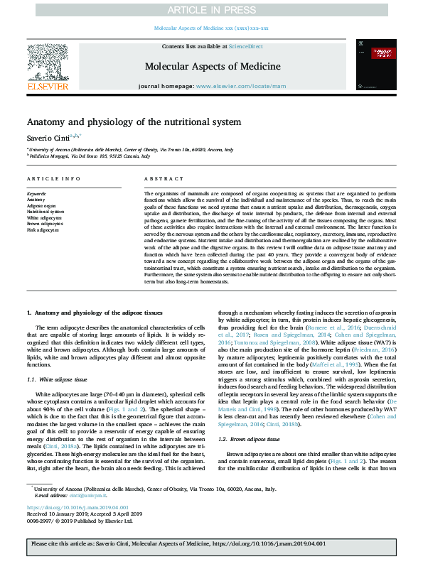 (PDF) Anatomy and physiology of the nutritional system