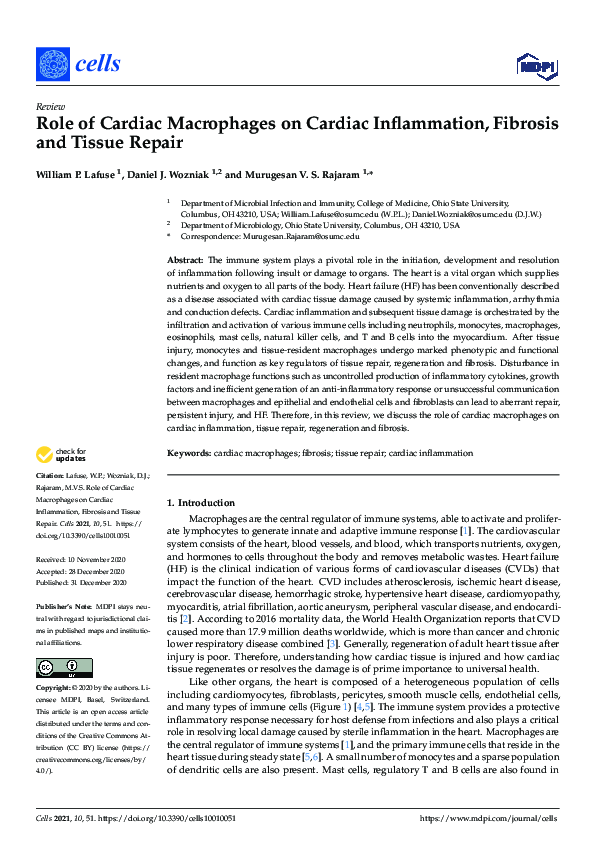 (PDF) Role of Cardiac Macrophages on Cardiac Inflammation, Fibrosis and ...