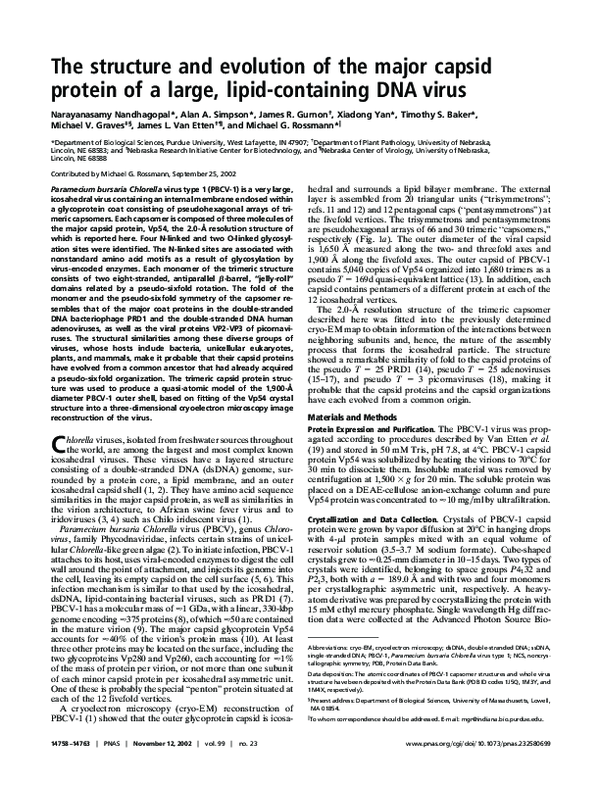 (PDF) The structure and evolution of the major capsid protein of a ...