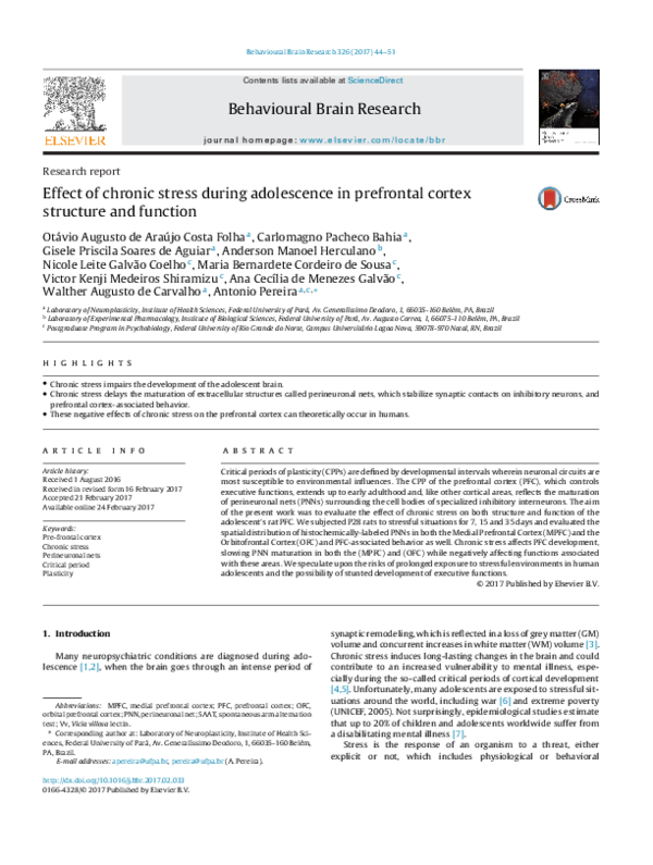 (PDF) Effect of chronic stress during adolescence in prefrontal cortex ...