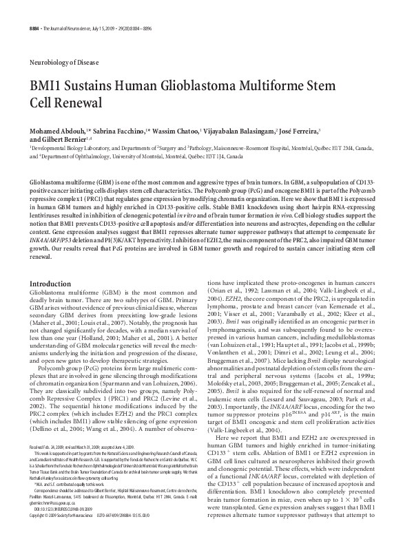 (PDF) BMI1 Sustains Human Glioblastoma Multiforme Stem Cell Renewal