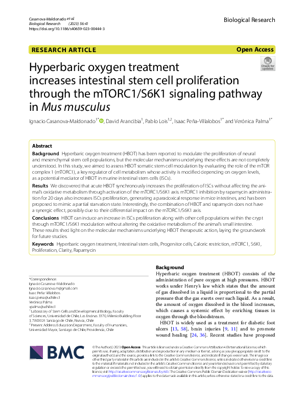 (PDF) Hyperbaric oxygen treatment increases intestinal stem cell ...