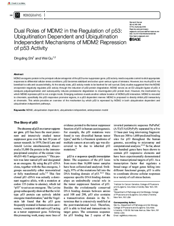 (PDF) Dual Roles of MDM2 in the Regulation of p53: Ubiquitination ...