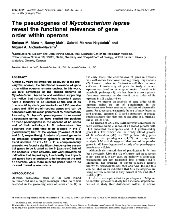 (PDF) The pseudogenes of Mycobacterium leprae reveal the functional ...
