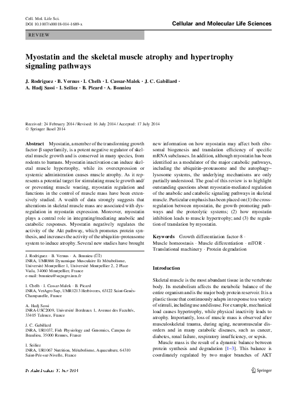 (PDF) Myostatin and the skeletal muscle atrophy and hypertrophy ...