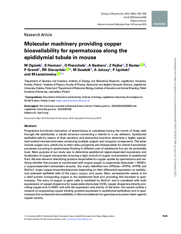 (PDF) Molecular machinery providing copper bioavailability for ...