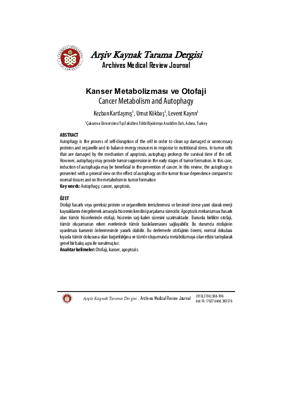 (PDF) Cancer Metabolism and Autophagy