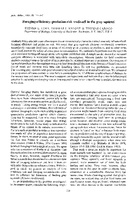 Image showcasing (PDF) Foraging-efficiency-predation-risk trade-off in the grey squirrel