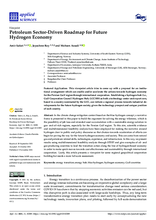 (PDF) Petroleum Sector-Driven Roadmap for Future Hydrogen Economy