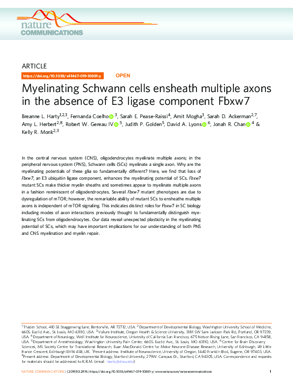 (PDF) Myelinating Schwann cells ensheath multiple axons in the absence ...