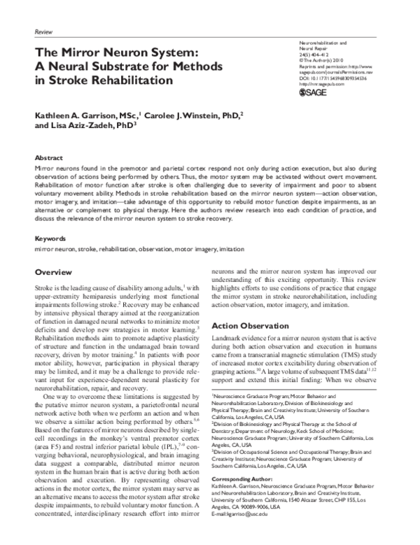 (PDF) The Mirror Neuron System: A Neural Substrate for Methods in ...