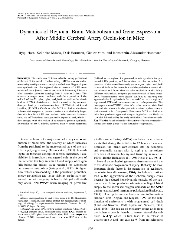 (PDF) Dynamics of Regional Brain Metabolism and Gene Expression After ...
