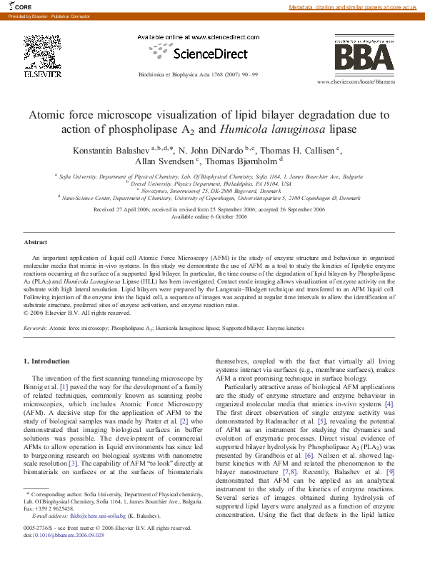 (PDF) Atomic force microscope visualization of lipid bilayer ...