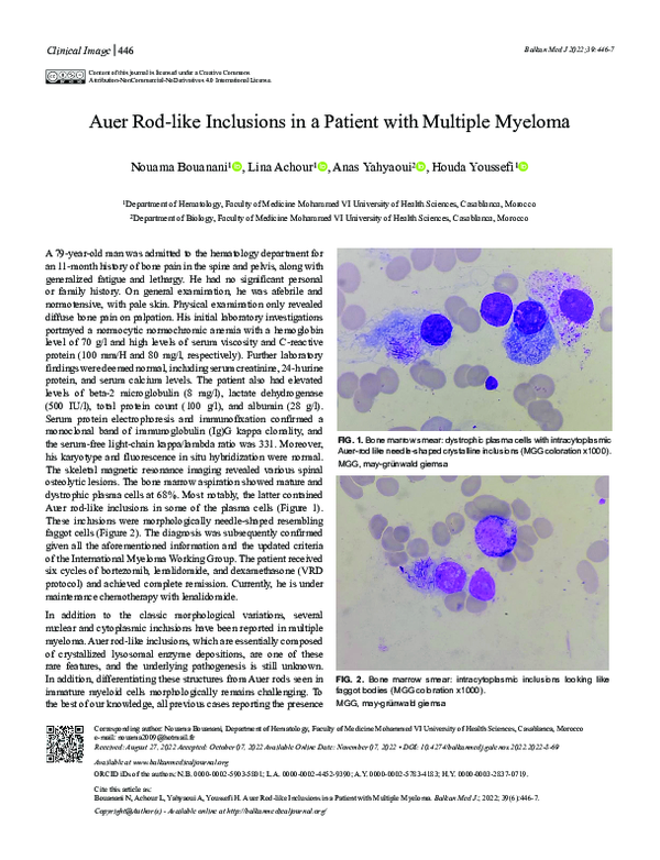 (PDF) Auer Rod-like Inclusions in a Patient with Multiple Myeloma
