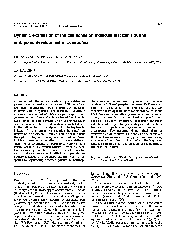 (PDF) Dynamic expression of the cell adhesion molecule fasciclin I ...