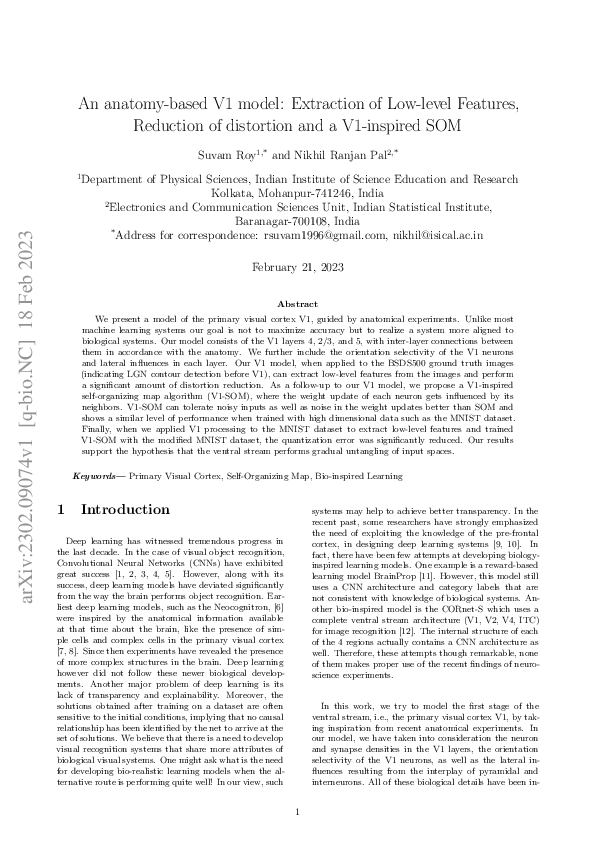 (PDF) An anatomy-based V1 model: Extraction of Low-level Features ...