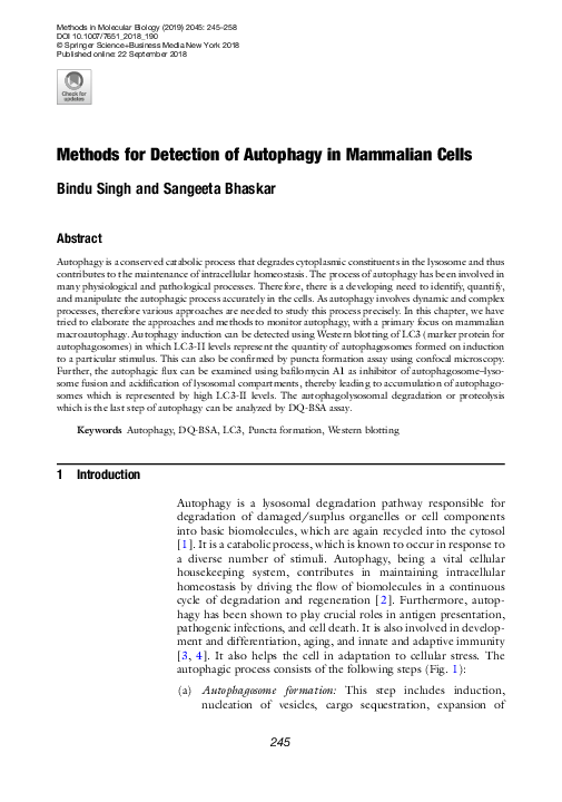 (PDF) Methods for Detection of Autophagy in Mammalian Cells