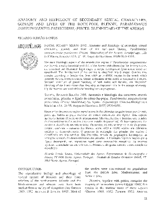 (PDF) Anatomy and histology of secondary sexual characters, gonads and ...