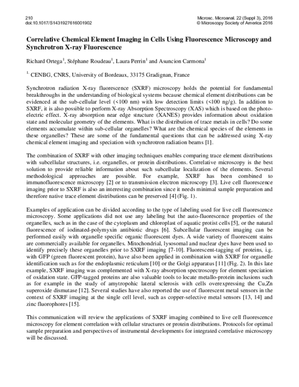 (PDF) Correlative Chemical Element Imaging in Cells Using Fluorescence ...