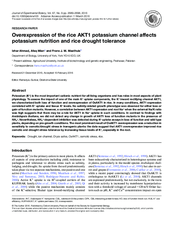 (PDF) Overexpression of the rice AKT1 potassium channel affects ...