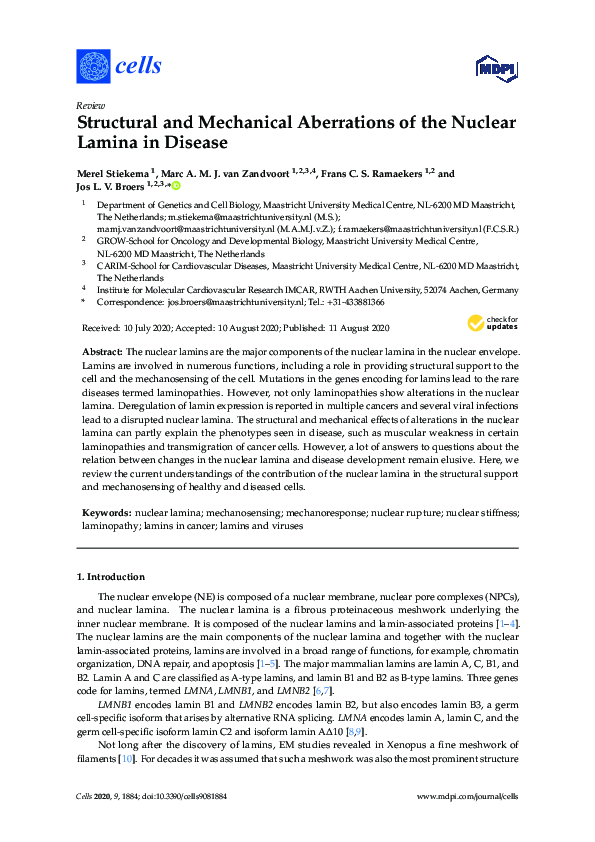 (PDF) Structural and Mechanical Aberrations of the Nuclear Lamina in ...