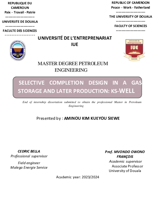 (PDF) SELECTIVE COMPLETION DESIGN IN A GAS STORAGE AND LATER PRODUCTION ...