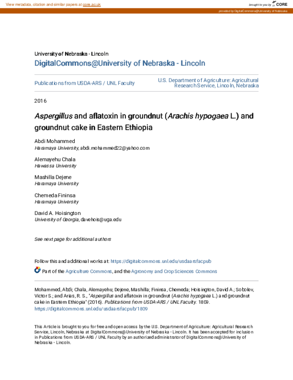 (PDF) \u3ci\u3eAspergillus\u3c/i\u3e and aflatoxin in groundnut (\u3ci ...