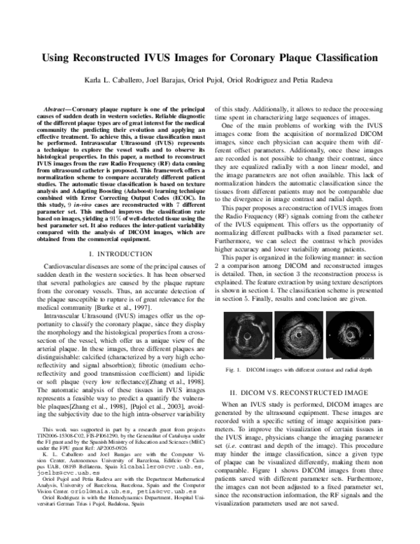 (PDF) Using Reconstructed IVUS Images for Coronary Plaque Classification