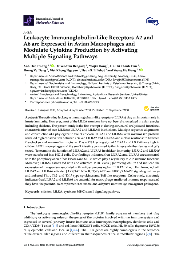 (PDF) Leukocyte Immunoglobulin-Like Receptors A2 and A6 are Expressed ...