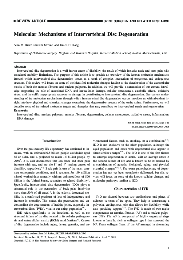 (PDF) Molecular Mechanisms of Intervertebral Disc Degeneration