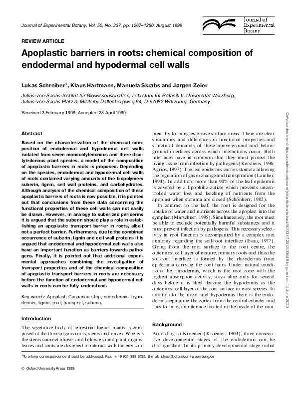 (PDF) Apoplastic barriers in roots: chemical composition of endodermal ...