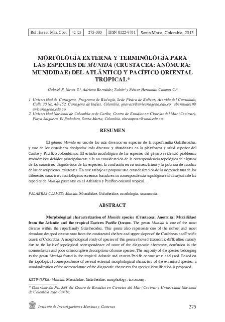 (PDF) MORFOLOGÍA EXTERNA Y TERMINOLOGÍA PARA LAS ESPECIES DE MUNIDA ...