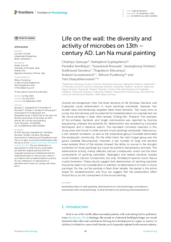 (PDF) Life on the wall: the diversity and activity of microbes on 13th ...