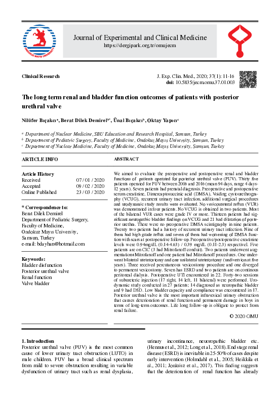 (PDF) The long term renal and bladder function outcomes of patients ...
