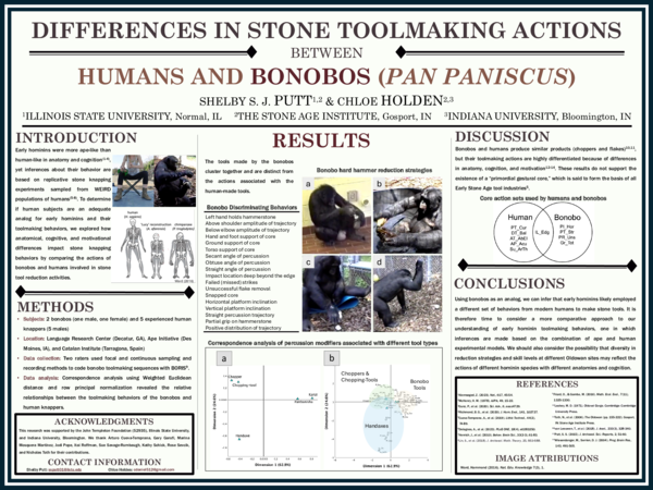 (PDF) Differences in stone toolmaking actions between humans and ...