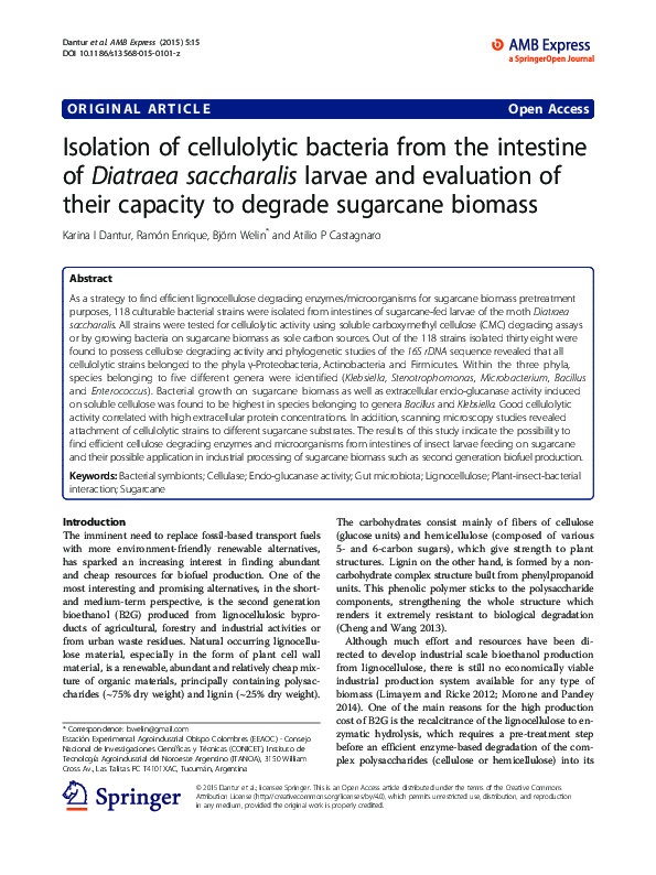 (PDF) Isolation of cellulolytic bacteria from the intestine of Diatraea ...