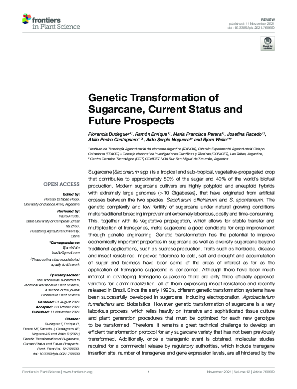 (PDF) Genetic Transformation of Sugarcane, Current Status and Future ...