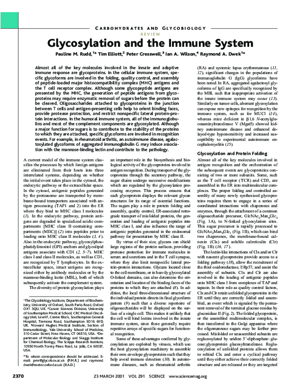 (PDF) Glycosylation and the Immune System
