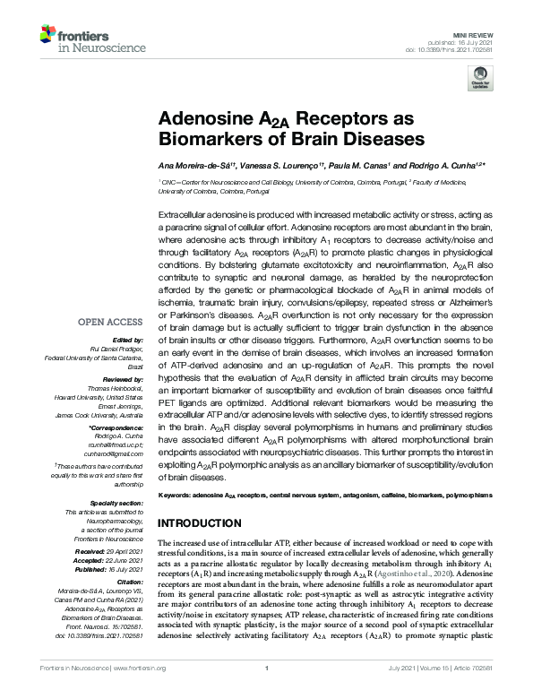 (PDF) Adenosine A2A Receptors as Biomarkers of Brain Diseases
