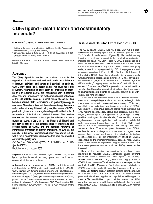 (PDF) CD95 ligand - death factor and costimulatory molecule?