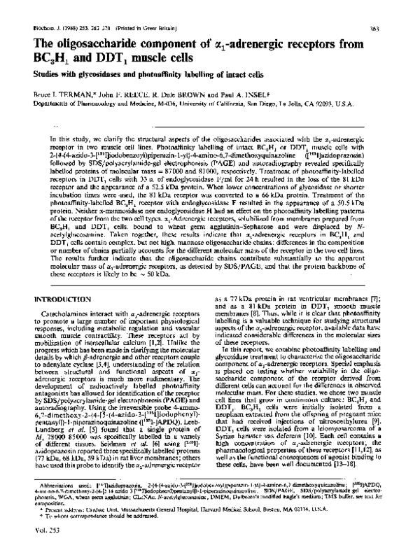 The oligosaccharide component of α 1-adrenergic receptors from BC3H1 ...