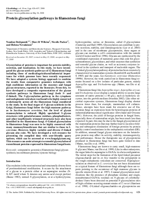 (PDF) Protein glycosylation pathways in filamentous fungi