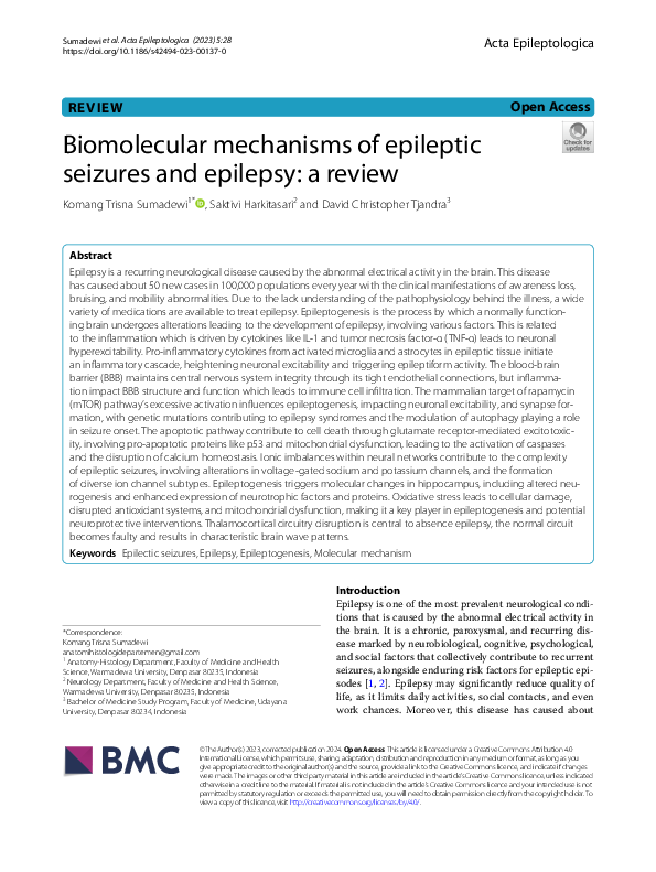 (PDF) Biomolecular mechanisms of epileptic seizures and epilepsy: a review