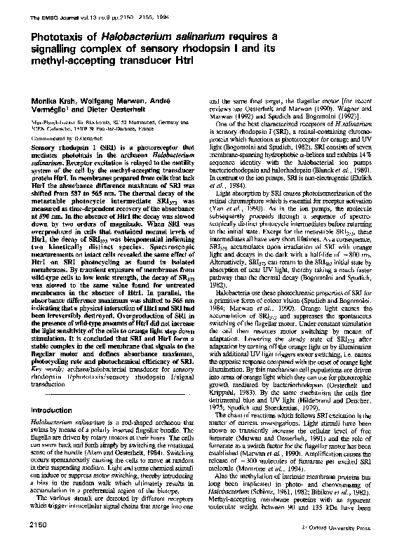 (PDF) Phototaxis of Halobacterium salinarium requires a signalling ...