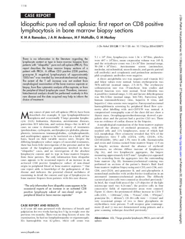 (PDF) Idiopathic pure red cell aplasia: first report on CD8 positive ...
