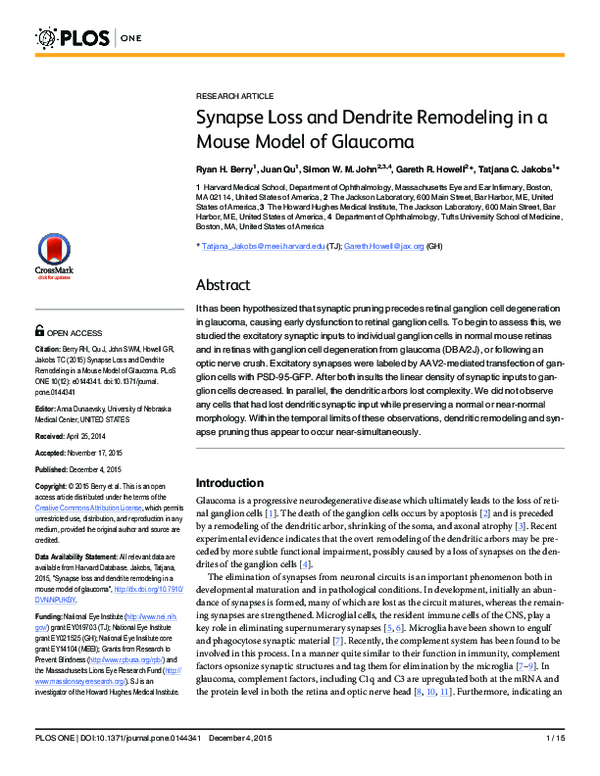 (PDF) Synapse Loss and Dendrite Remodeling in a Mouse Model of Glaucoma