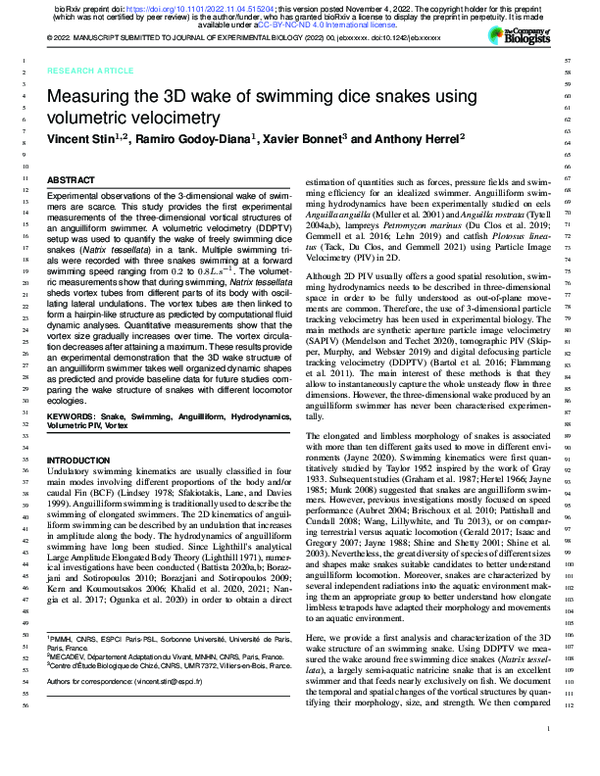 (PDF) Measuring the 3D wake of swimming dice snakes using volumetric ...