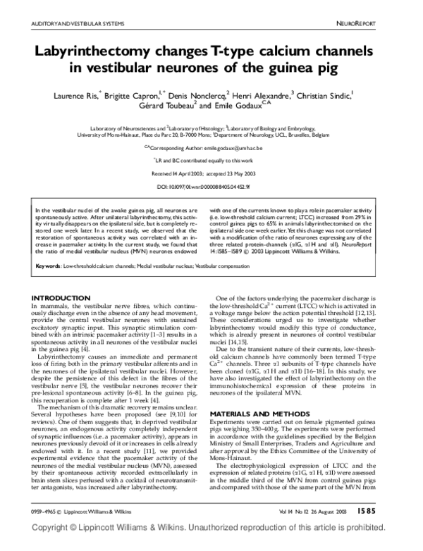 Photo inspiration: Picture Idea: Pdf Labyrinthectomy Changes T Type Calcium Channels In Vestibular Neurones