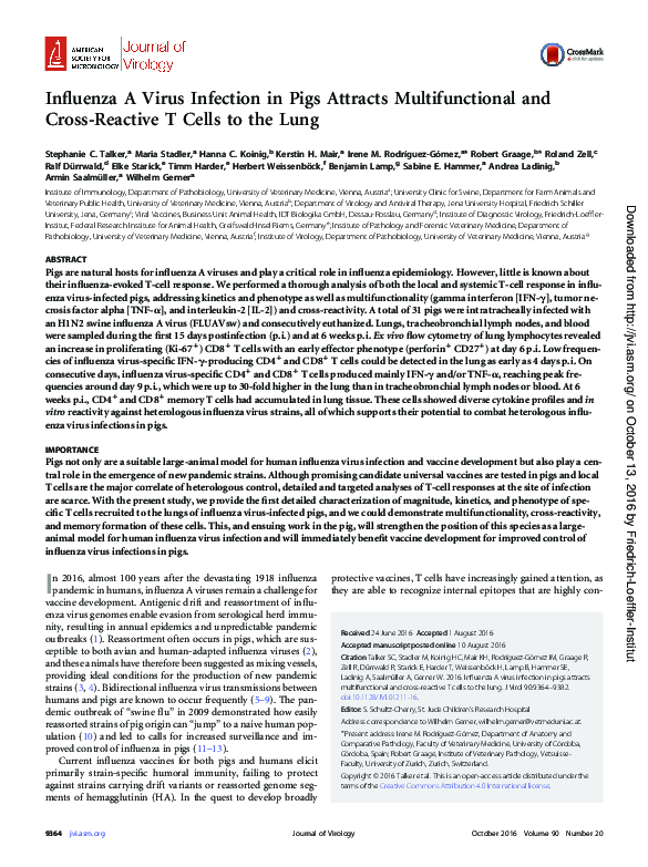 (PDF) Influenza A virus infection in pigs attracts multifunctional and ...