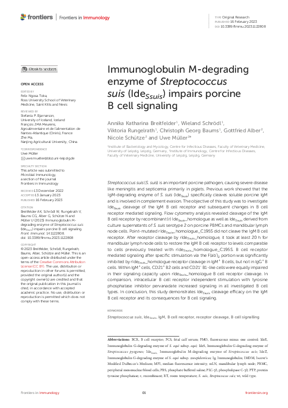 (PDF) Immunoglobulin M-degrading enzyme of Streptococcus suis (IdeSsuis ...